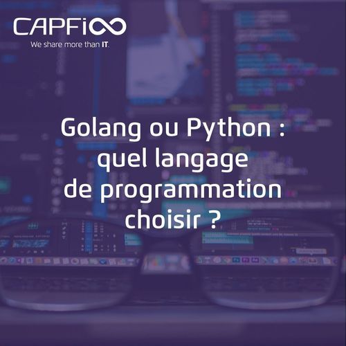 Golang ou Python : quel langage de programmation choisir ?